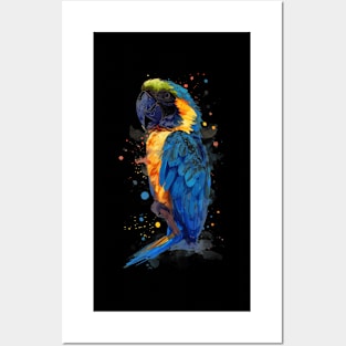 Tropical Parrot Posters and Art